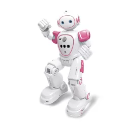Intelligent Programmed Remote Control Electric Robot