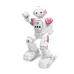 Intelligent Programmed Remote Control Electric Robot