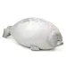 60cm Seal Pillow Aquarium Plush Toy Squint