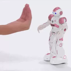 R2 CADY WIDA RC Robot Gesture Sensor Dancing Intelligent Program Toy Gift for Children Kids Entertainment with Remote Control Pink