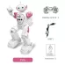 Intelligent Programmed Remote Control Electric Robot