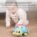 6 in 1 Electric Crawling Induction Enlightenment Multifunctional Early Education Turtle
