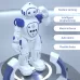 Intelligent Programmed Remote Control Electric Robot