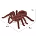 Electric Animal Toy Infrared Remote Control Simulation Spider Model Brown