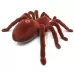 Electric Animal Toy Infrared Remote Control Simulation Spider Model Brown