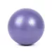 25cm PVC Yoga Ball Balance Fitness Gymnastic Ball
