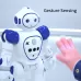 Intelligent Programmed Remote Control Electric Robot