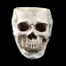 Halloween Utensils Resin Skull Ashtray Personality Home Decoration