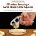LsCook Stainless Steel Manual Garlic Masher Garlic Presser